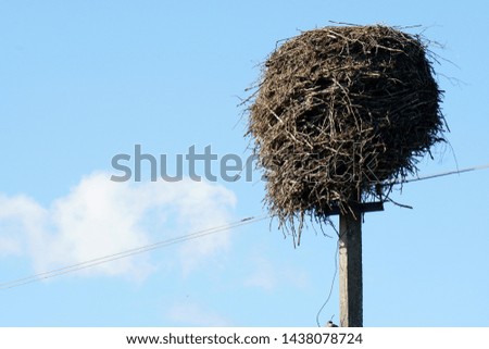 An empty large stork nest on an electric pole on a blue sky background.             