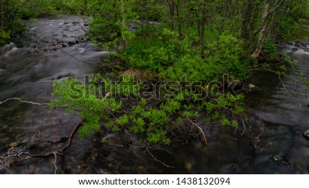 The rapids of the northern river in the dark taiga