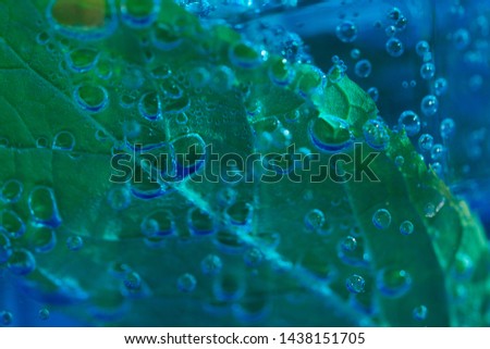 A close up picture of a blue curacao drink. Refreshing cold dring on a summer day.