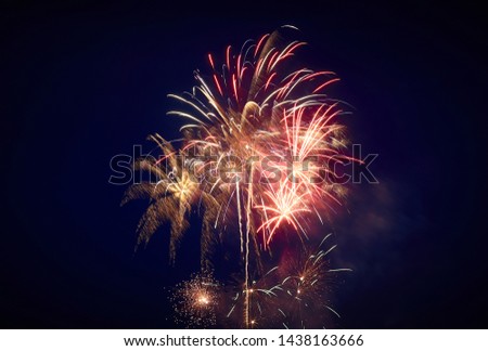 Big beautiful sparkling fireworks, red-yellow, in the night sky
