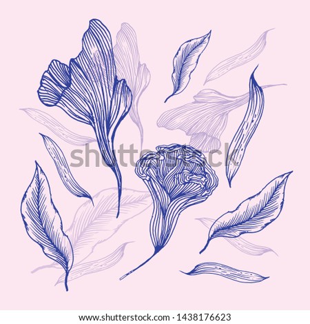 Hand drawn  leaf and  flower vector on pink background