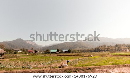 Outdoor sunny landscape view of agriculture field of local village,Beautiful morning landscape in the suburb of Antananarivo, Madagascar; during rain season, with shadow