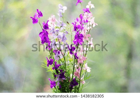 Bouquet of different flowers in a vase on bokeh background with sunlight pattern. Postcard concept