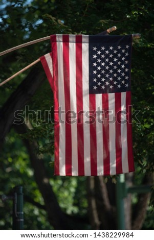 Vertical American Flag outdoor with trees