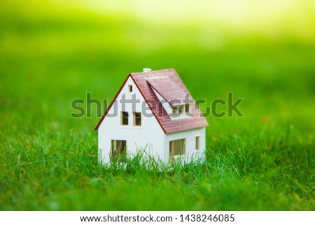 Small cute model house close up in the grass and daisies in the evening.