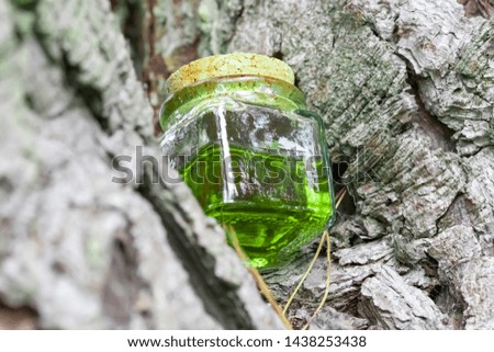 A glass jar with a wooden lid half filled with green-yellow nectar oil. It is located on a branch of a tree. Unusual bottom view. The concept of natural food supplements