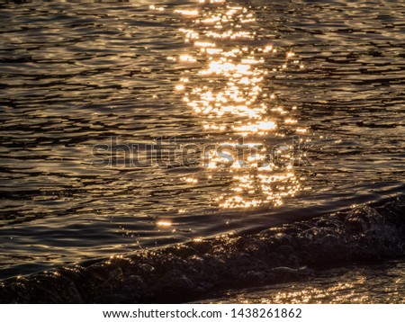 Sea waves on the beach at sunset close up