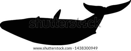 Blue Whale (Balsenoptera Musculus) Silhouette Swimming On The Oceans Worldwide