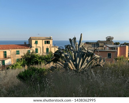 Picture of homes in Corniglia, one of the Cinque Terre cities, from a hilltop, with the Mediterranean in the background.