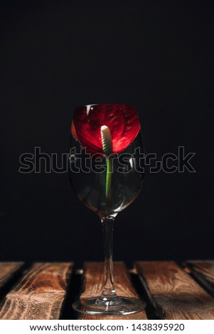 cocktail with flowers on white or black background