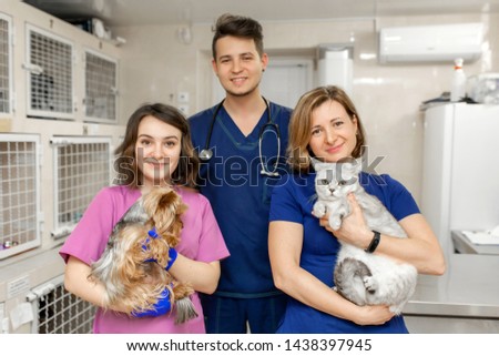 Smiling young veterinary team of young professionals. Hold in hands healthy animals. Pet healthcare concept. Royalty-Free Stock Photo #1438397945