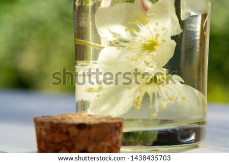 flowers of philadelphus somewhere called jasmine or mock orange and a bottle of oil on a white wooden table, close up