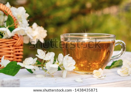 Flowers and petals of philadelphus somewhere called jasmine or mock orange and Cup with fragrant jasmine tea on a white wooden tray outdoors in summer