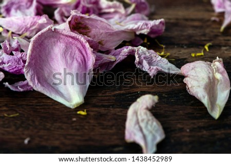 Closeup of dried wilted petals on wooden background. Copy space.