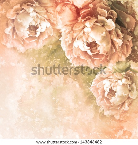 Beautiful background with  peonies  with vintage look/ romantic textured card with peony