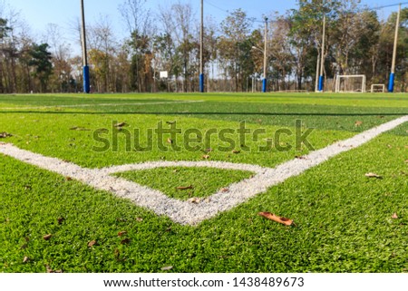 Close up White line on the green soccer field