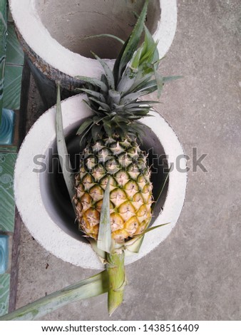 Pineapple and beautiful and classic background
