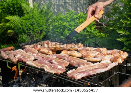Close up picture of grilling tasty pork and chicken at an outdoor barbecue party