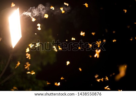 Low key image and blur to highlight the lights in the night long and flying animation play light around the fire of Termite Flying or alates after rain in the rainy season.