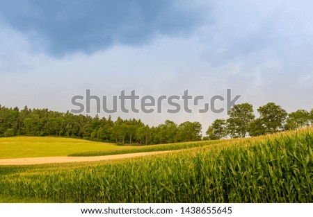 idyllic summer farmland countryside, corn,fields,meadow,trees,forest,blue sky
