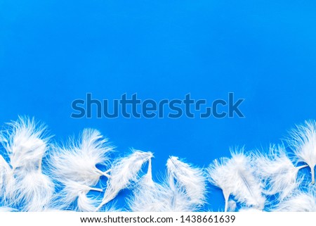 frame with feathers for modern design on blue background top view mock up