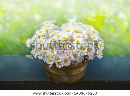 Bouquet of daisy flowers in vase outdoor closeup