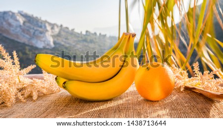 Bananas and orange. Closeup of bananas and orange under a canopy of palm leaves against the backdrop of the mountains