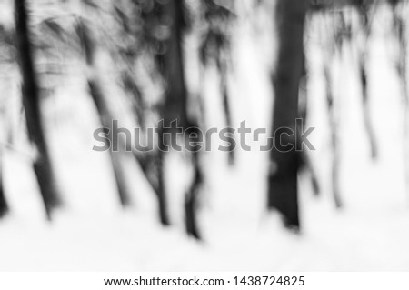 Blurred background of winter forest
