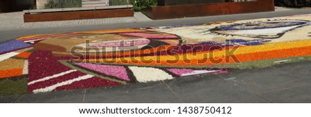 Pictures composed with desiccated petals and flowers, Corpus Christi custom