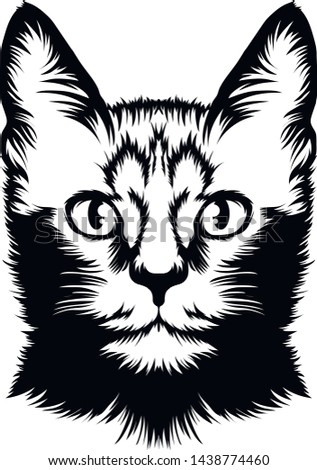 Black and white vector illustration of the head of a cat.