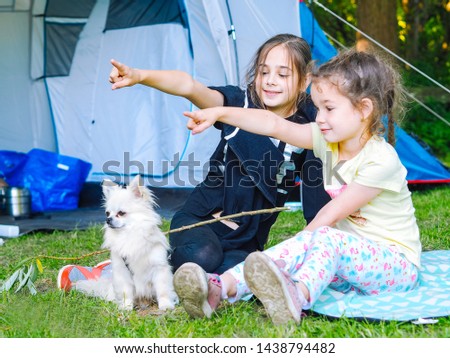 Camp in the tent - girls with little dog chihuahua sitting together near the tent. Camping with children. Camping tourism and vacation concept