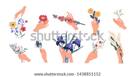 Collection of hands holding bouquets or bunches of blooming flowers. Bundle of floral decorative design elements isolated on white background. Set of elegant summer gifts. Flat vector illustration.