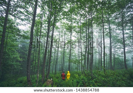 Man and woman models are posing in mystic and foggy forest. Landscape photo was taken at forest near Camlihemsin, Rize, Turkey.