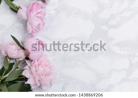 Pink peonies on pastel colored marble background. Copy space. Flat lay.
