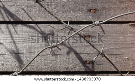 barbed wire on a wooden background in the daytime
