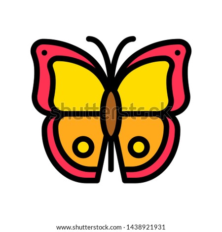 Butterfly vector, tropical related filled design icon