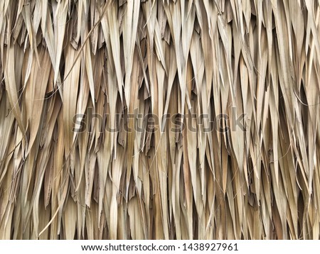 Nipa Palm Leaf background textures.