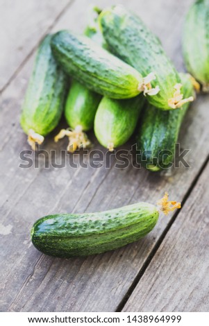 fresh young cucumbers on wooden background

