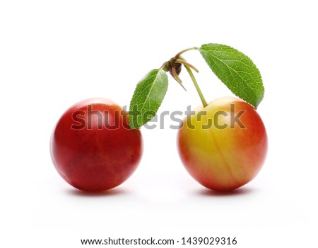 Wild red plums with leaves and twigs, isolated on white background