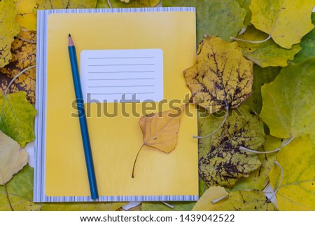 Back to school and education concept. School working notepad and pencil on the background of yellow autumn leaves, flat lay, copy space for your text.