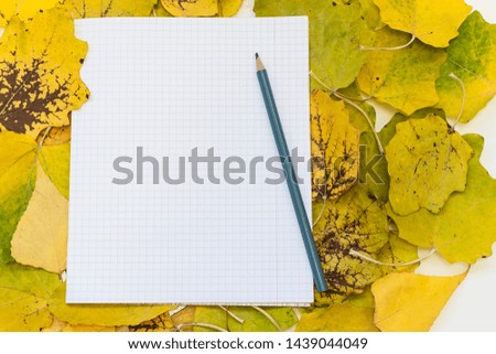 Blank opened school notebook and pencil on the background of yellow autumn leaves. Back to school and education minimalism concept.