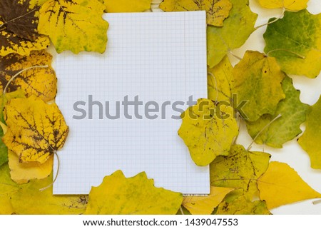 Blank school notebook and yellow autumn leaves on white background with copy space for your text. Education and back to school concept.