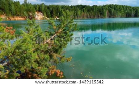 Summer fairy lake in pine forest. Siberia. Mobile photo. Mobilestock.