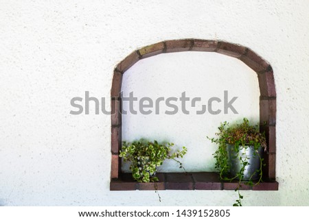 Two green plants on a window frame