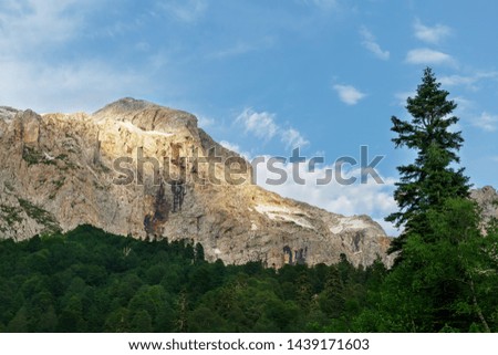 Gray high rocky mountain located. Caucasian reserve, mountain Fisht