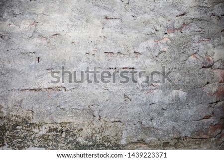 Close up of a shot of texture or background of a brick wall or adobe wall with some green and dried algae on it.
