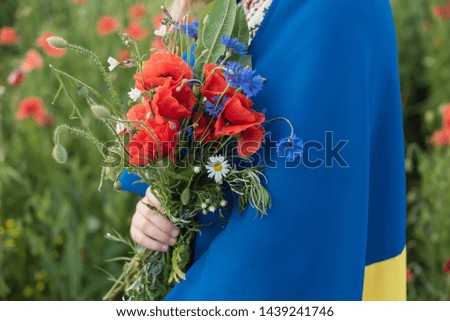 Child carries fluttering blue and yellow flag of Ukraine in poppy field. Ukraine's Independence Day. Flag Day