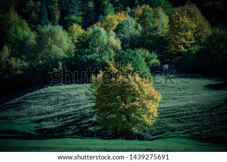 Amazing autumn mountain landscape in Svaneti. Georgia. Toned.