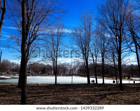 A frozen lake at Mount Royal, Montreal - Canada