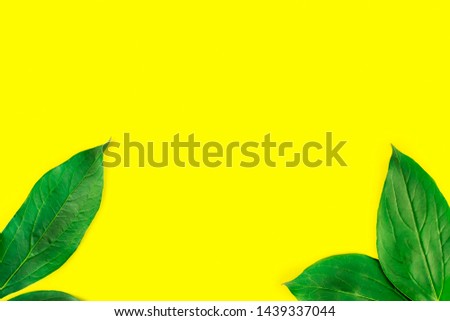 
Frame of green leaves isolated on pastel yellow background. Minimal summer concept. Flat lay top view. Copy space.